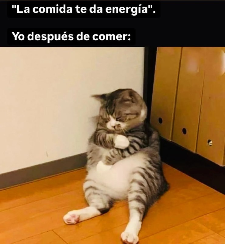 michadas en stream y terminando 2 …