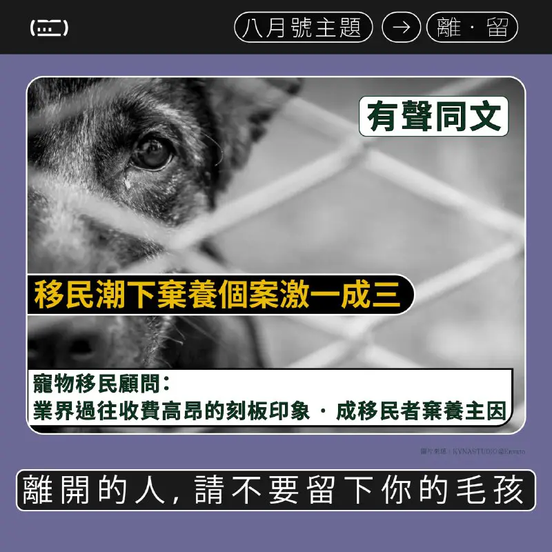 【有聲同文】《說好香港故事》｜移民潮下棄養個案激一成三｜寵物移民顧問：業界過往收費高昂的刻板印象．成移民者棄養主因【離開的人，請不要留下你的毛孩】 Pet Can Fly 一齊飛寵物移民