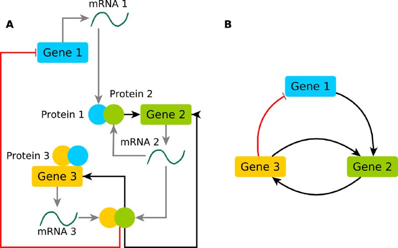 *****?***From time-series transcriptomics to gene regulatory …