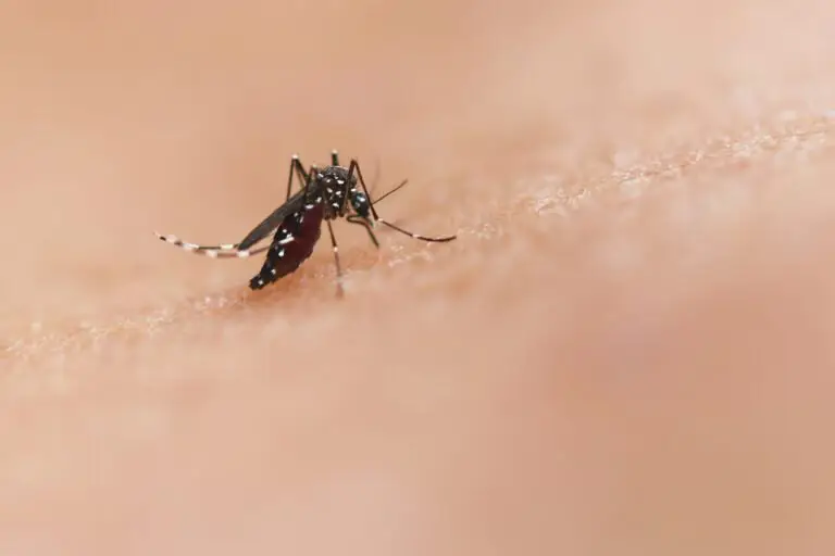 Brasil registra 4,1 milhões de casos e 1.937 mortes por dengue