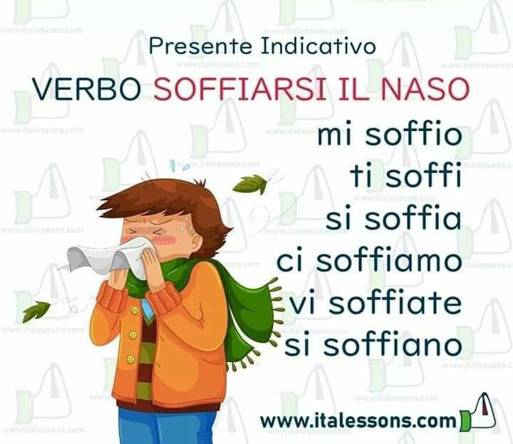 Soffrirsi il naso