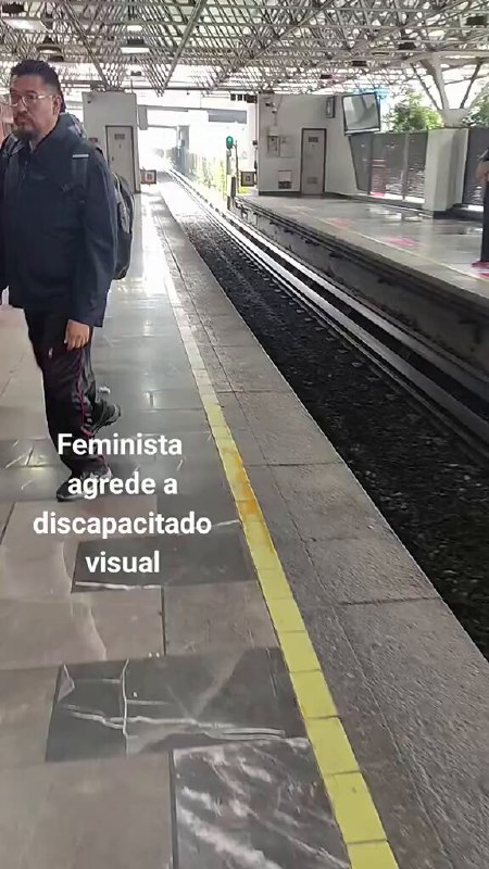 Feminista HDSPM