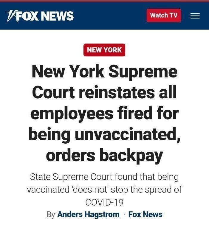 **New York Supreme Court reinstates all …