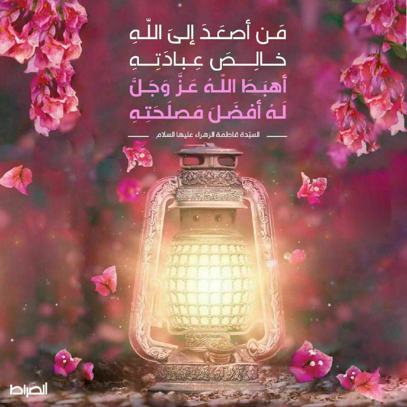 مَن أصعَدَ إلىَ اللهِ خالِصَ عِبادَتِهِ، …