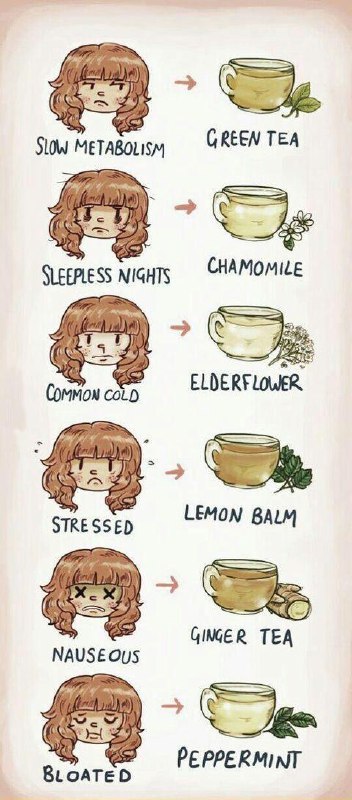 A cool guide to tea