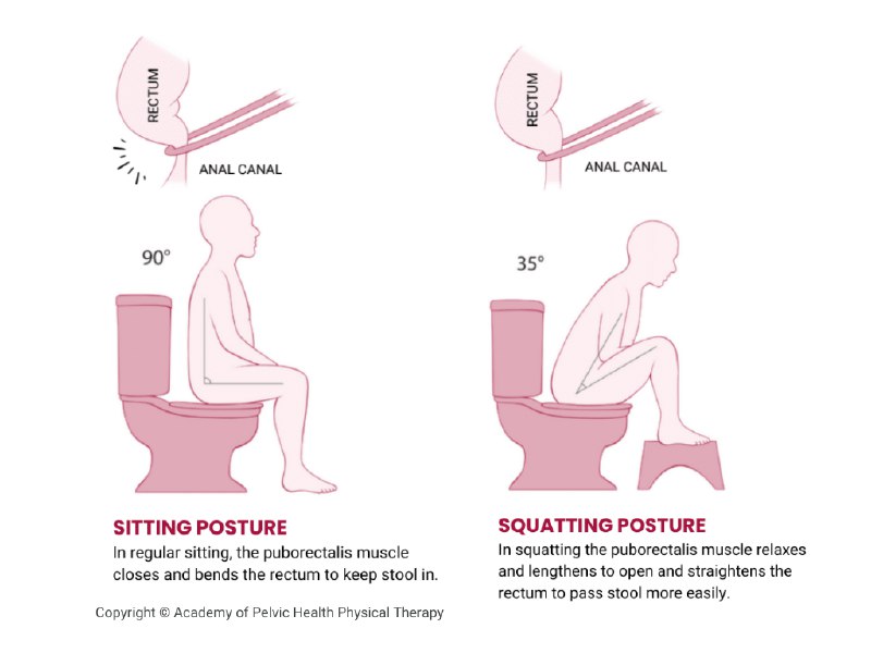 A cool guide to why squatting …