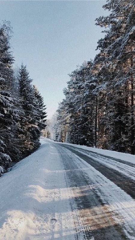 Стікери та сторіз українською 💙💛