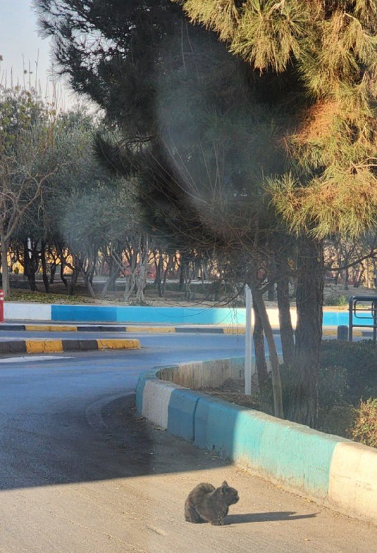 ردپای آبی