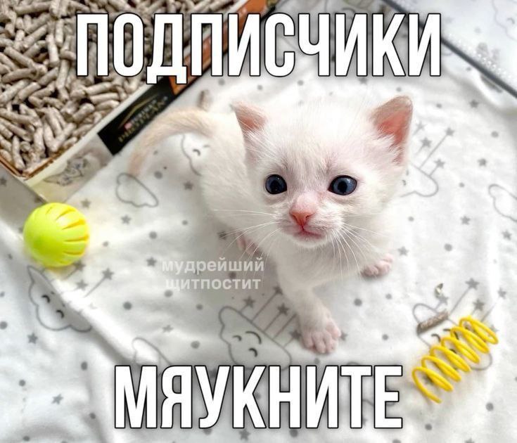 я на больничном