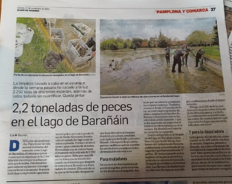 Cosas de Barañáin