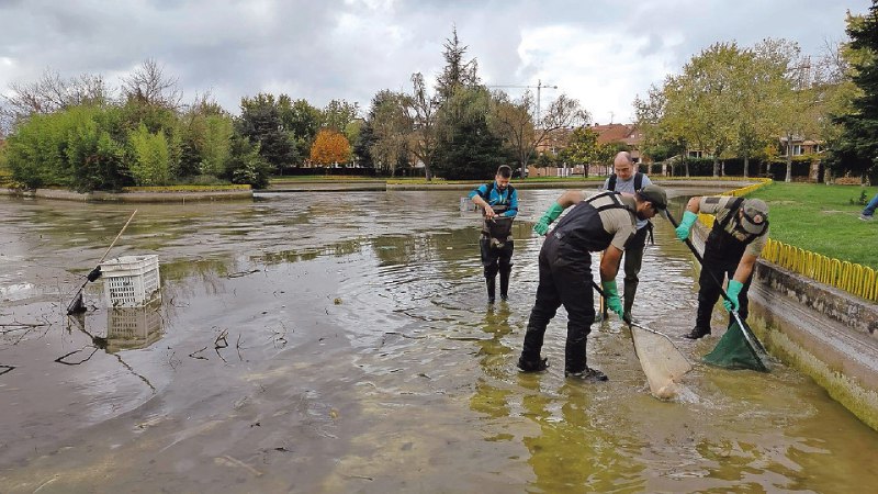 2,2 toneladas de peces en el …