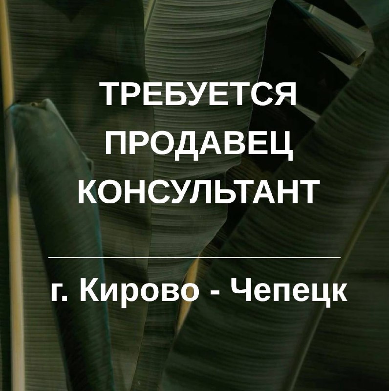 В магазин «Эротик» требуется продавец-консультант ***👤***