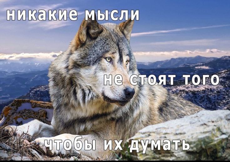 Думайте сами