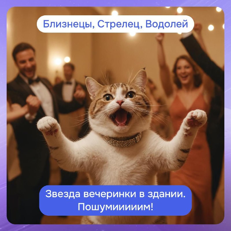 Милые котейки