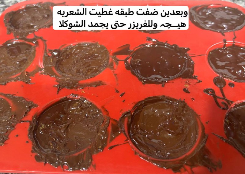 كوتش شين