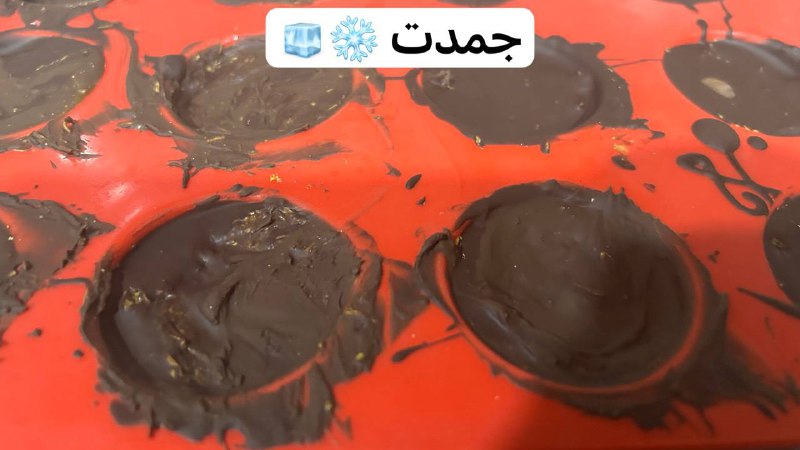 كوتش شين