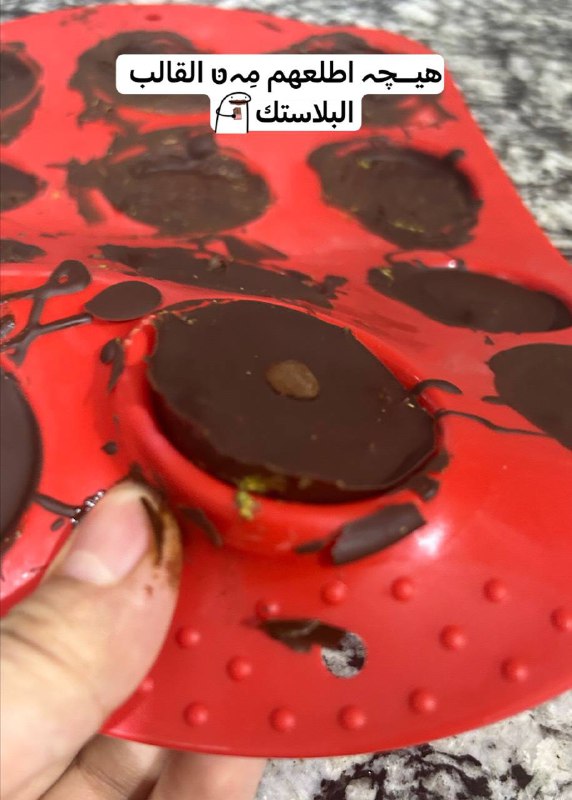 كوتش شين