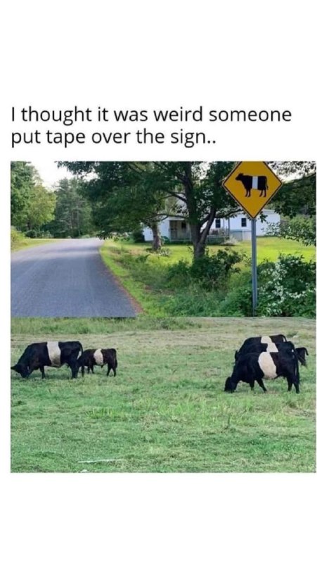 Oreo cows sign