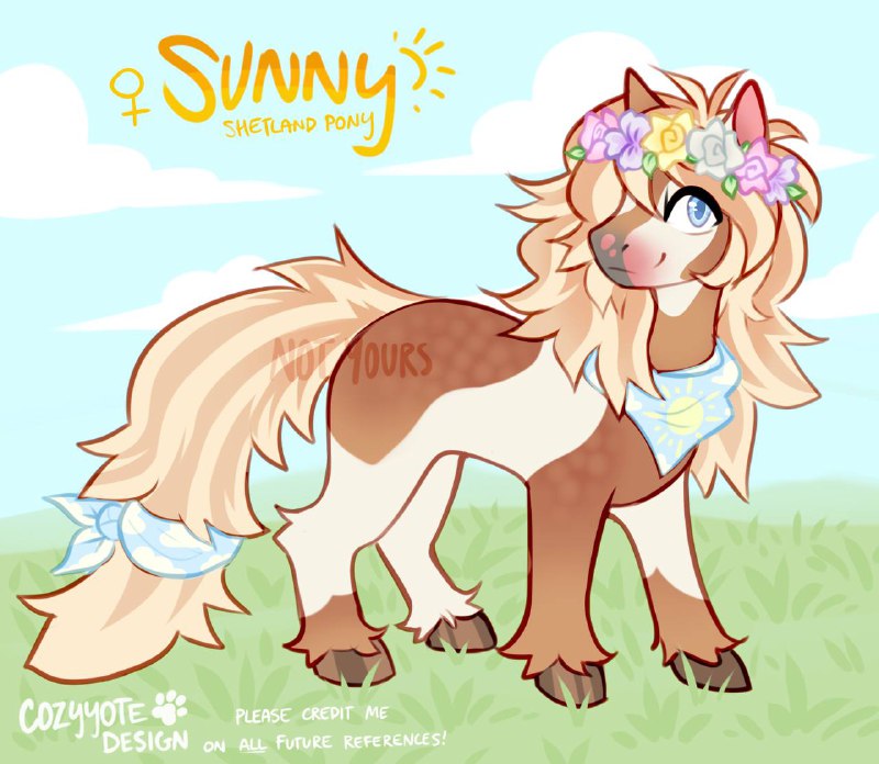 Sunny the pony!! i cant really …