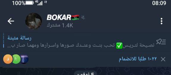 **تمويل قناه BOKAR فوري: