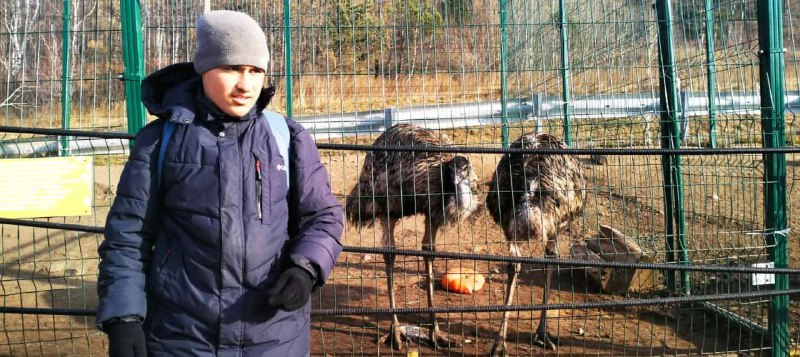 Сегодня 17.11.24 в г. Ангарске потерялся …