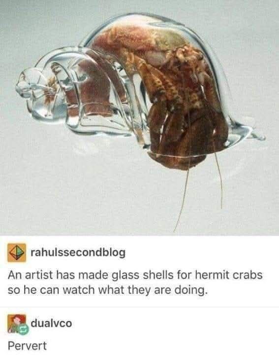 Crab memes for crabby teens