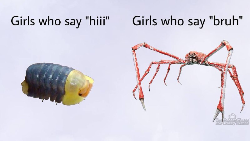 Crab 🦀 Posting