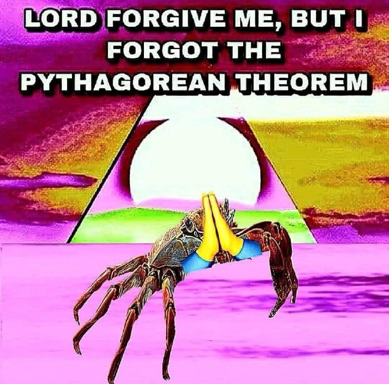 Crab 🦀 Posting