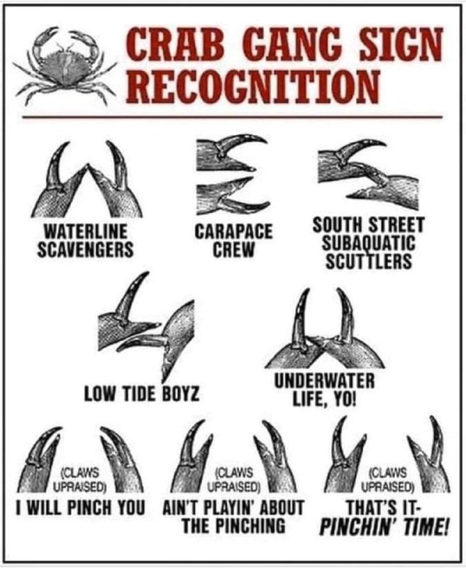 Crab 🦀 Posting