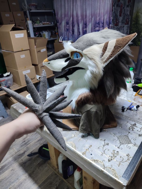 Crafts fur Raptors