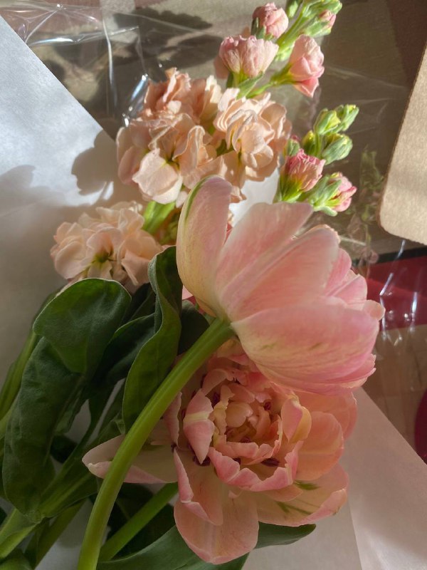 Hope to see you soon, ребятки