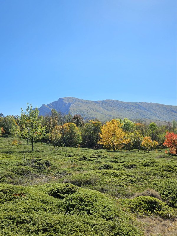 ***🍂*** **Краски осени на нижнем плато …