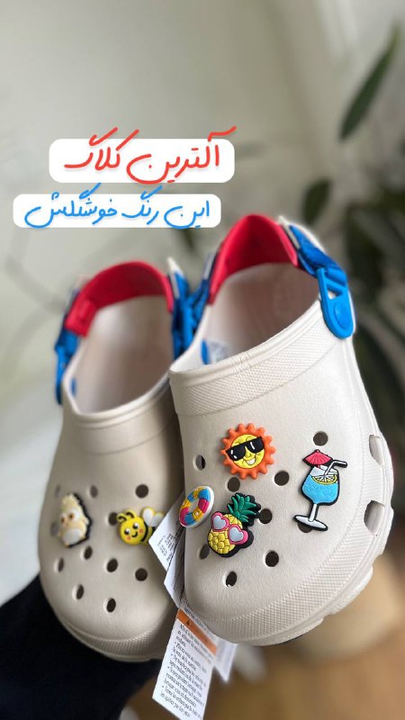 crocs کراکس