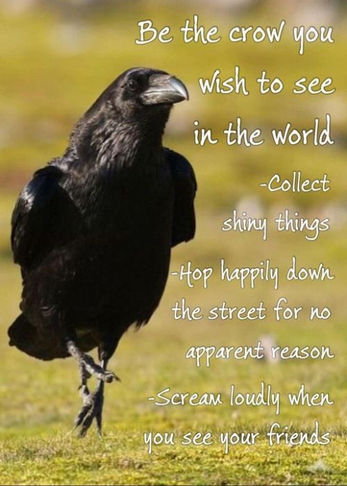 Crowposting