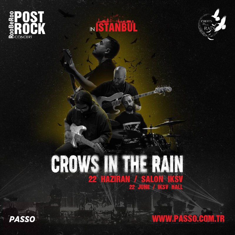 Crows in The Rain in İstanbul …