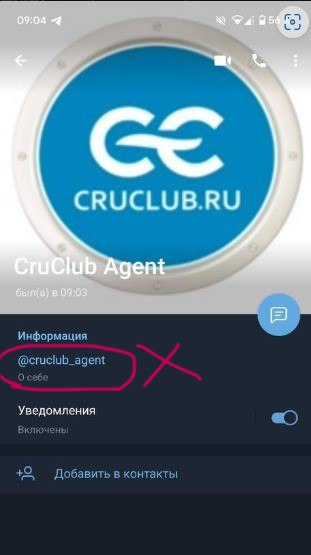 CRUCLUB|КРУИЗней не бывает - морские круизы