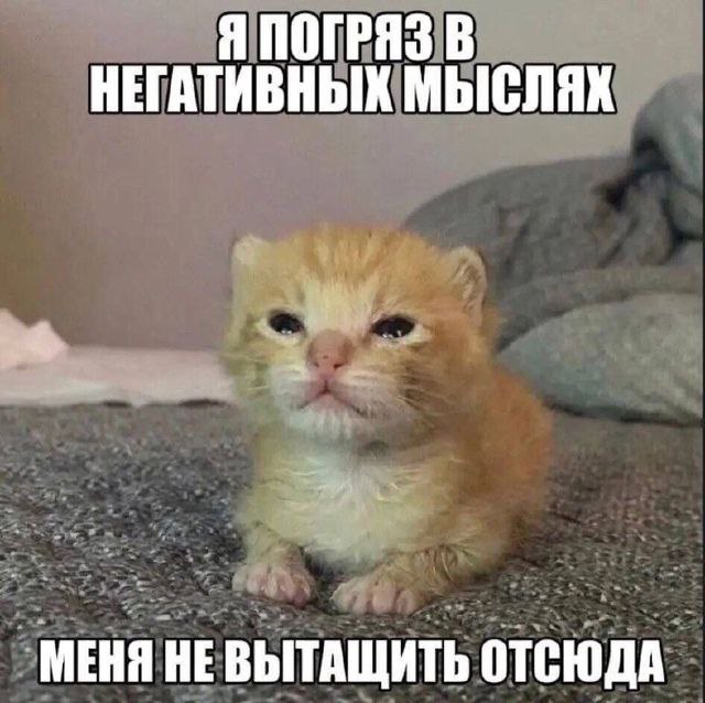 Если меня не примут ни в …