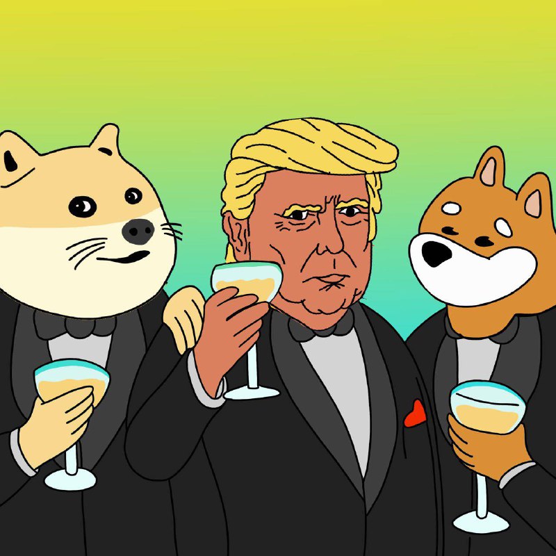 **TrumpBonkDogeETF** Buy!