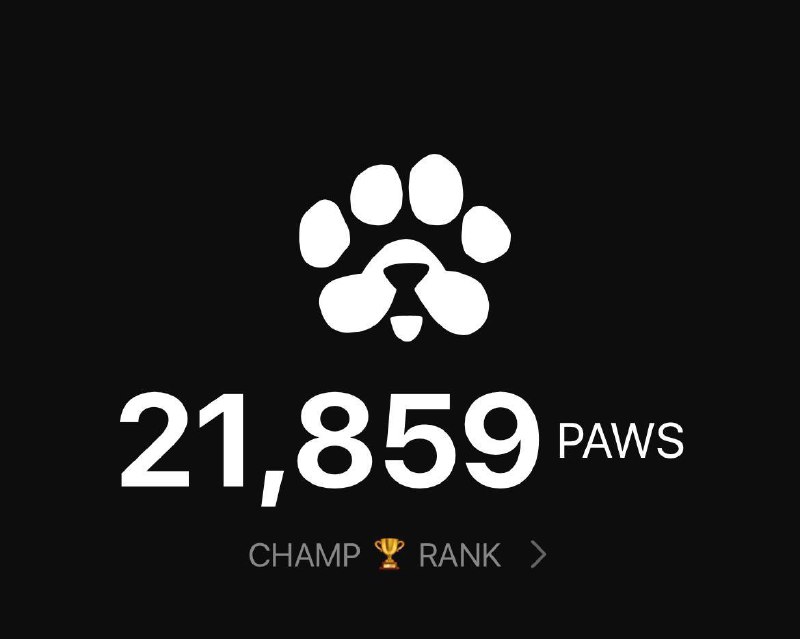 **PAWS — НОВЫЙ ПРОЕКТ ОТ КОМАНДЫ …