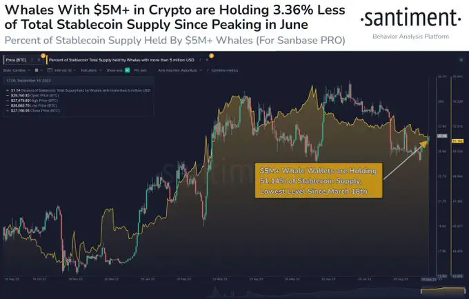 🚀 크립토조이 Crypto Joy