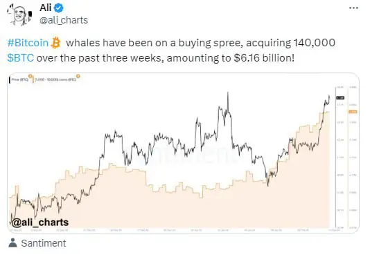 *****🐳*** BTC-киты купили 140 000 BTC …