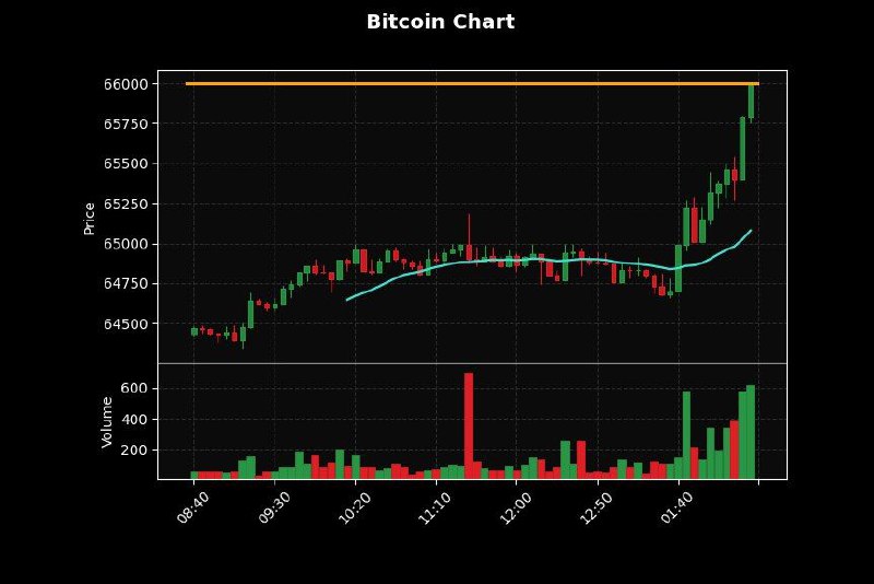 ***💎***Bitcoin hits **$66,000**