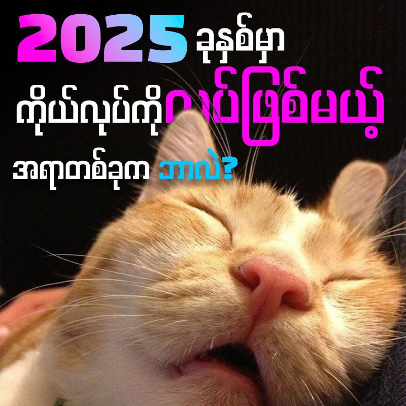 ***✨***2024 ကုန်လို့ 2025 ကိုမကြာမှီအချိန်အတွင်းမှာ ရောက်ရှိလာတော့မှာ ဖြစ်ပါတယ်။ …