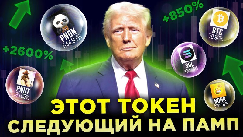 ***💥*** **Pandana****набирает обороты**