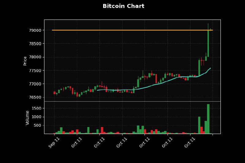 JUST IN : Bitcoin hits **$79,000**