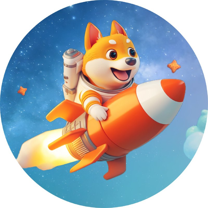 **RDT - Rocket Doge Token（火箭狗）**