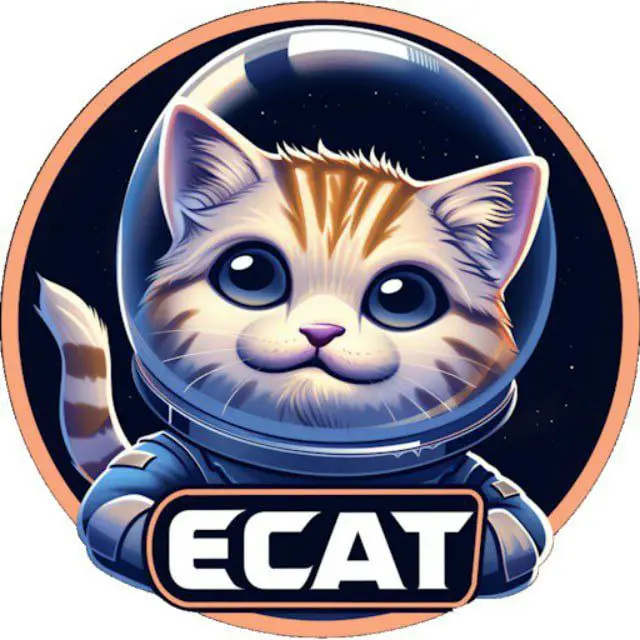 ***🪙******🪙*** **Elon Cat Finance: Upcoming Fairlaunch …