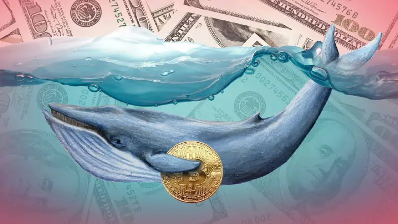 ***💰*** **Whale entities withdraw 100,000 BTC …
