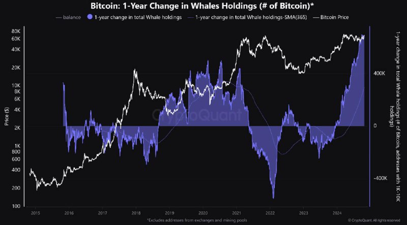 Whales' holdings are at an all-time …