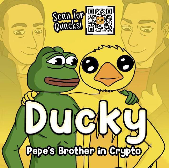 **Ducky - A New Meme Coin …